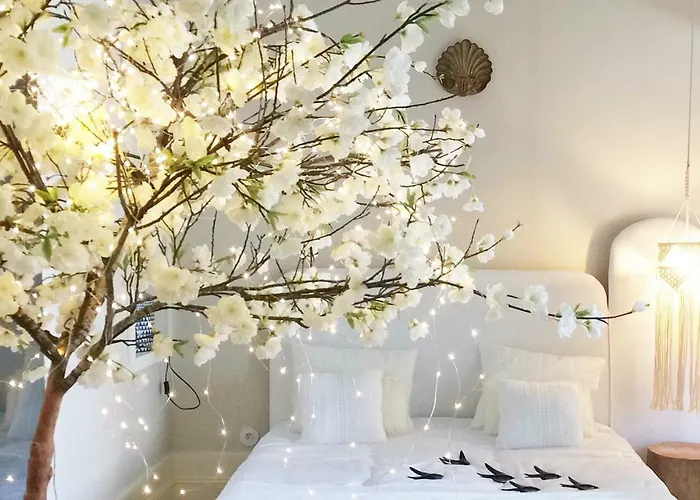 Boutique Rentals - Little Treasure Studio